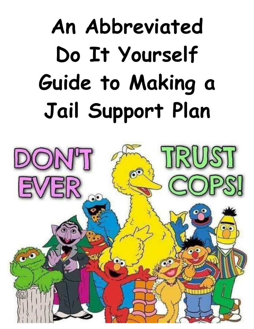 An Abbreviated Do It Yourself Guide to Making a Jail Support Plan  